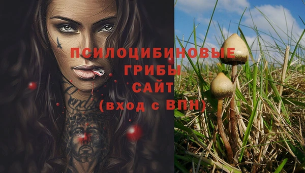 героин Алексин