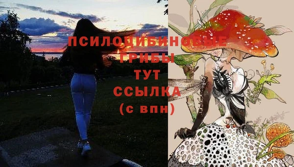 героин Алексин