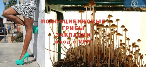 прущие крисы Абинск